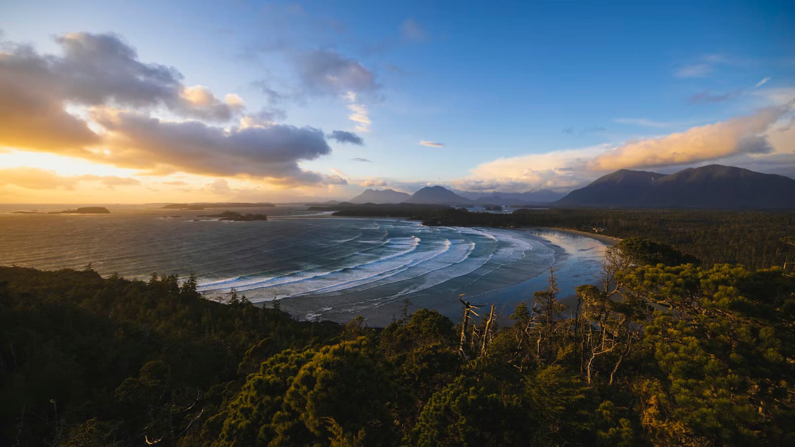 Tofino, BC landscape
